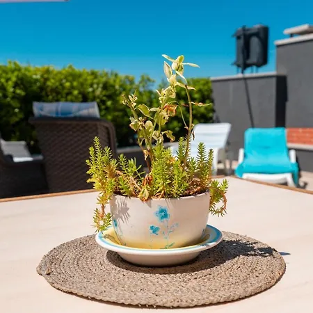 Beach House Festini Kosljun